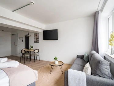 Stylish studio in Saarbrucken