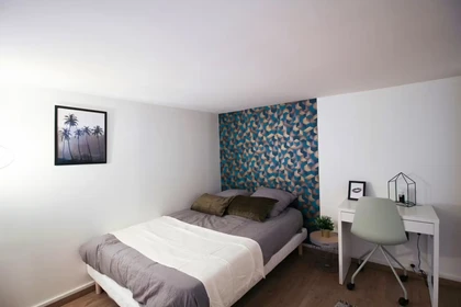 Habitación en alquiler con cama doble Lyon