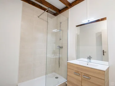 Privatzimmer in der Vieux Lyon, Lyon, bild 9 von 10