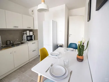 Habitación privada en Chorier-Berriat, Grenoble, imagen 1 de 6