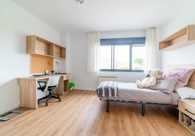 Renting rooms by the month in Logroño