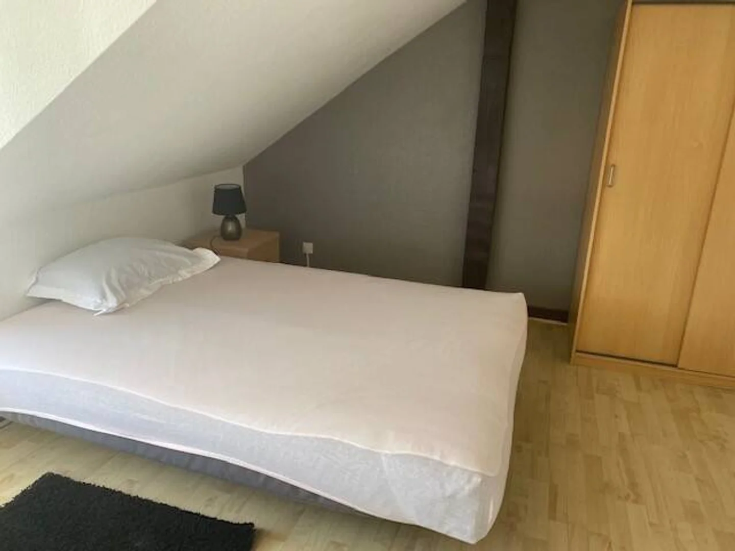 Budgetfreundliches Studentenzimmer in Campusnähe in 