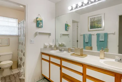 Dairenin tamamı Ikamet yerinde konumu 12024 Royal Wulff Lane , Orlando, United States, 22 22 görüntüsü