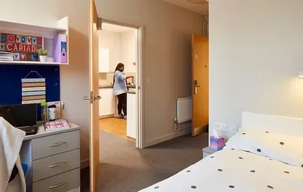 Gesamte Unterkunft im Wohnheim in der Fabian Way, Crymlyn Burrows, Skewen, Swansea SA1 8EN, United Kingdom       , bild 13 von 23