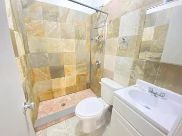 Gesamte Unterkunft im Wohnheim in der 256 west 108th street, 3W, Upper West Side, New York, NY, 10025, bild 11 von 12