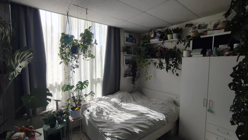 Chambre privée à Hennepstraat, image 1 de 10