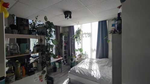 Chambre privée à Hennepstraat, image 2 de 10