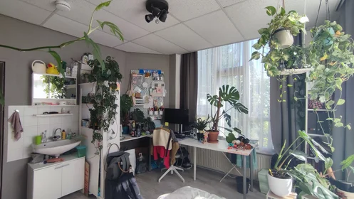 Chambre privée à Hennepstraat, image 4 de 10