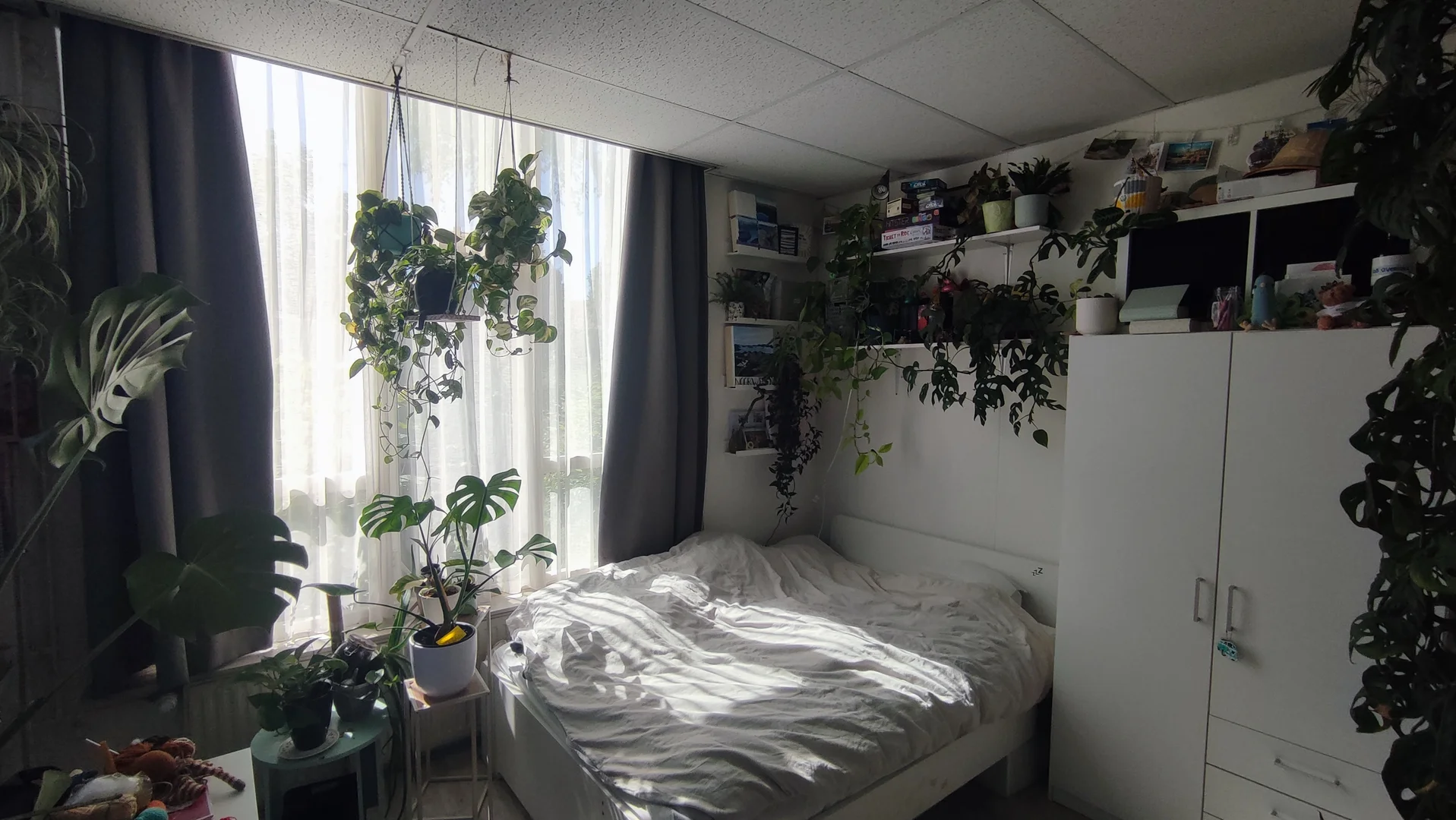 Chambre conviviale pour les étudiants dans  avec des équipements modernes