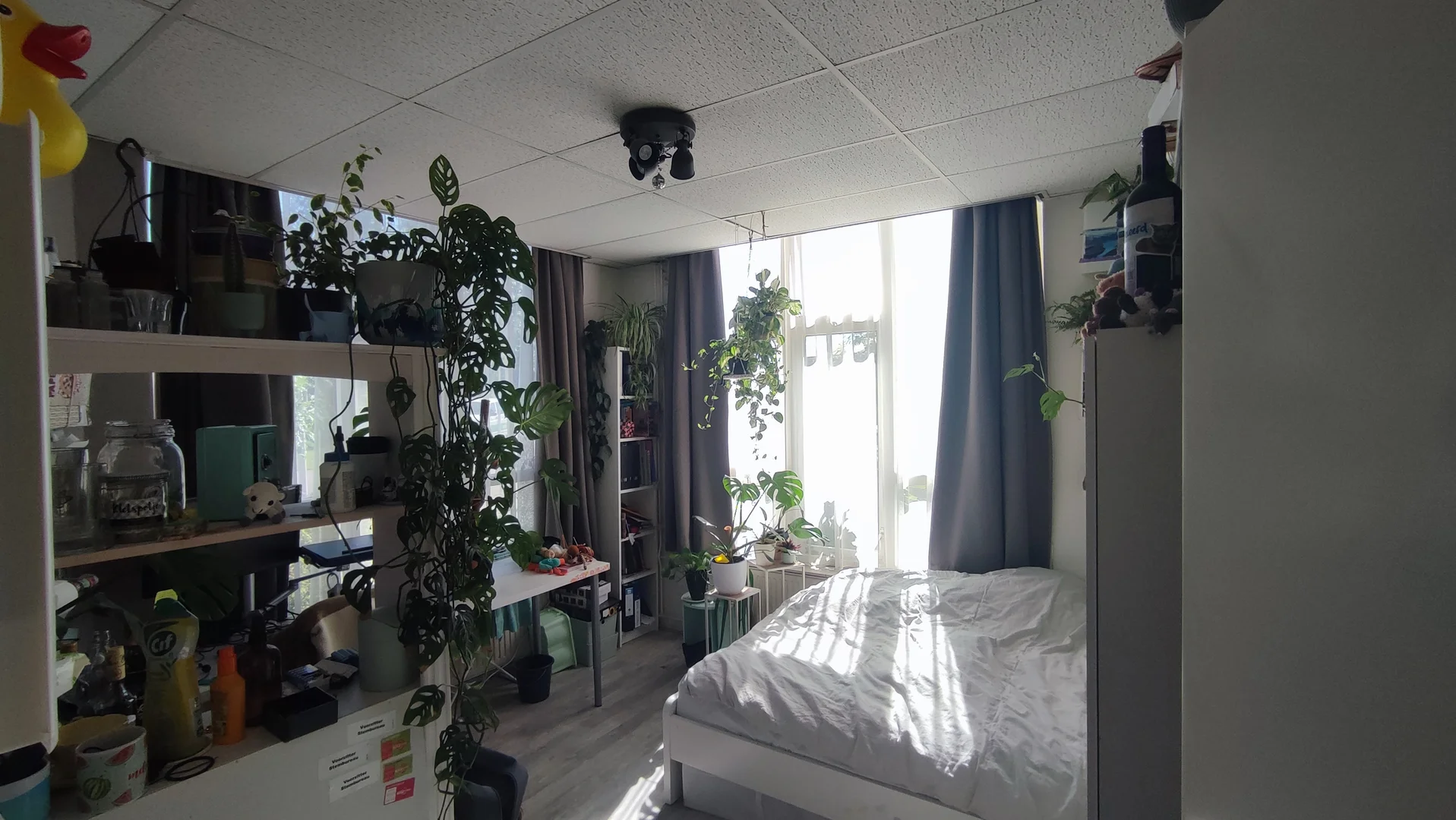 Chambre conviviale pour les étudiants dans  avec des équipements modernes
