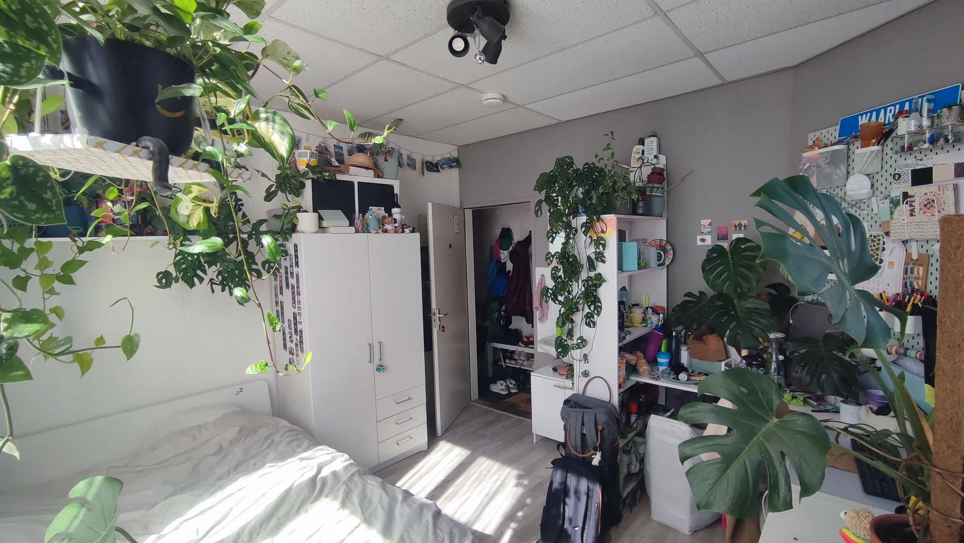 Chambre abordable pour les étudiants avec un bon éclairage dans 