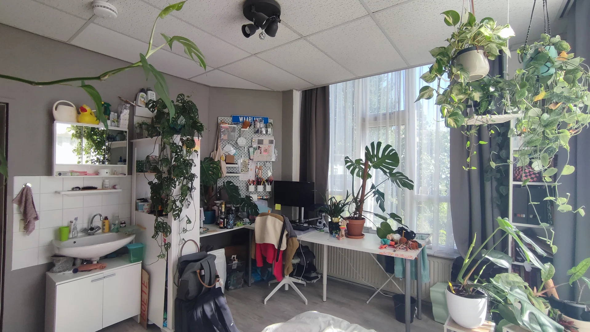 Chambre d'étudiant à  avec espace d'étude et installations communes
