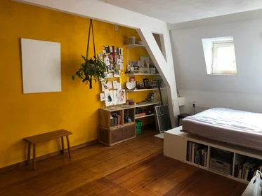 Private room at Koningslaan, image 1 of 7