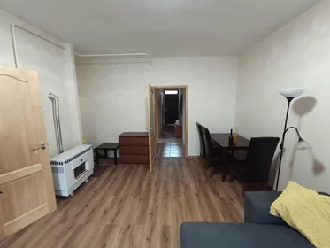 Appartamento intero in Feketesas utca, Szeged, immagine 5 di 10