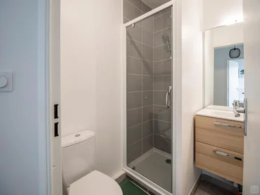 Private room at Cusset-Bonnevay, Villeurbanne, image 5 of 8