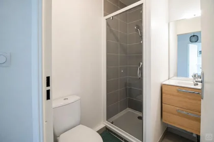 私人房间 在 Cusset-Bonnevay, Villeurbanne, 6的图像4