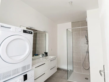 Stanza privata in Cusset-Bonnevay, Villeurbanne, immagine 4 di 5