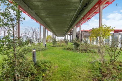 Prywatny pokój Antwerpse Steenweg, obraz 12 16