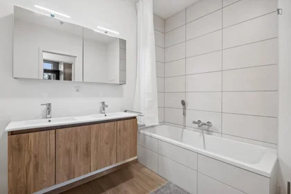 Prywatny pokój Antwerpse Steenweg, obraz 7 16