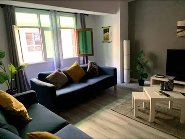 私人房间 在 Calle de Pérez del Toro 21, 28的图像8