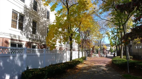 Entire place in residence at 2440, Massachusetts Ave., Unit 8, North Cambridge, Cambridge, MA, 02140, image 18 of 21
