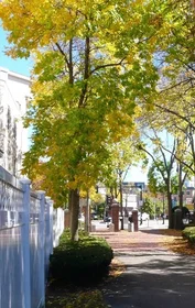 Entire place in residence at 2440, Massachusetts Ave., Unit 8, North Cambridge, Cambridge, MA, 02140, image 19 of 21
