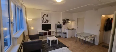 Stüdyo daire konumu Gelkingestraat, 1 6 görüntüsü