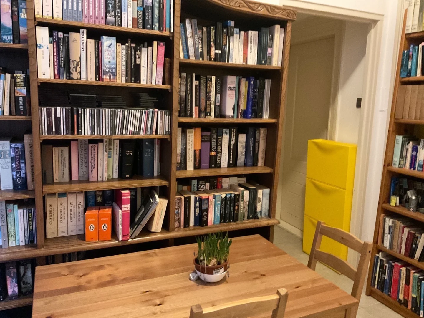 Affordable room for students with ample lighting in 