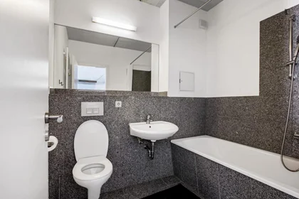 Appartamento intero in Linienstrasse, immagine 14 di 22