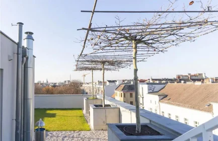 Appartamento intero in Linienstrasse, immagine 21 di 22