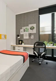 Alojamiento entero en residencia en 73 Albert Avenue, Chatswood NSW 2067, Australia , imagen 4 de 17
