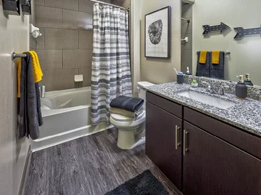 Apartamento inteiro em residência em 815 W Abram St, Arlington, TX 76013, USA, imagem 28 de 29