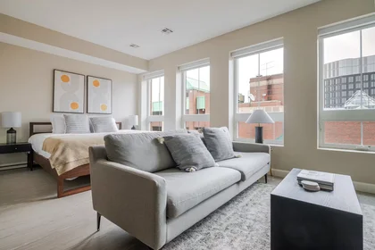 Entire apartment at Charles Street, East Cambridge, image 1 of 10
