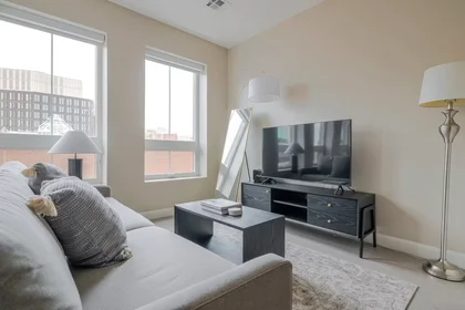Entire apartment at Charles Street, East Cambridge, image 2 of 10
