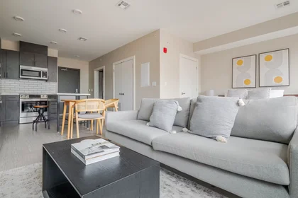 Entire apartment at Charles Street, East Cambridge, image 3 of 10