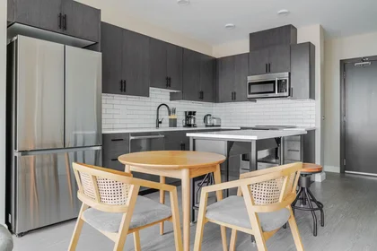 Entire apartment at Charles Street, East Cambridge, image 6 of 10