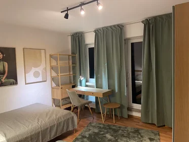 Privatzimmer in der Westliche Stadtmauerstraße, Erlangen, bild 1 von 10
