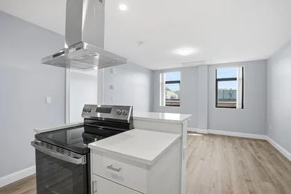 Apartamento inteiro em 632, Centre St., Unit 305, Jamaica Plain, Boston, MA, 02139, imagem 1 de 10