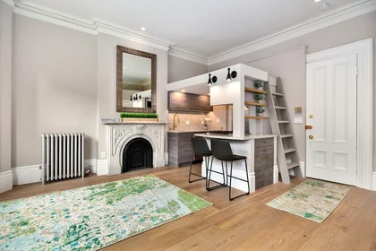 Estudio en residencia en 154, West Concord St., Unit 2A, South End, Boston, MA, 02118, imagen 12 de 20