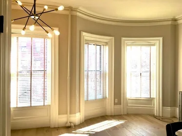 Estudio en residencia en 154, West Concord St., Unit 2A, South End, Boston, MA, 02118, imagen 14 de 20