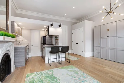 Estudio en residencia en 154, West Concord St., Unit 2A, South End, Boston, MA, 02118, imagen 16 de 20