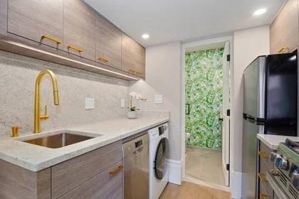 Estudio en residencia en 154, West Concord St., Unit 2A, South End, Boston, MA, 02118, imagen 17 de 20
