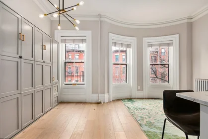 Estudio en residencia en 154, West Concord St., Unit 2A, South End, Boston, MA, 02118, imagen 18 de 20