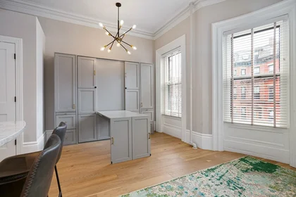 Estudio en residencia en 154, West Concord St., Unit 2A, South End, Boston, MA, 02118, imagen 7 de 20