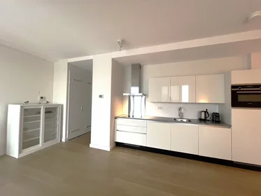 Całe miejsce Van Vollenhovenstraat, Centrum, obraz 8 10