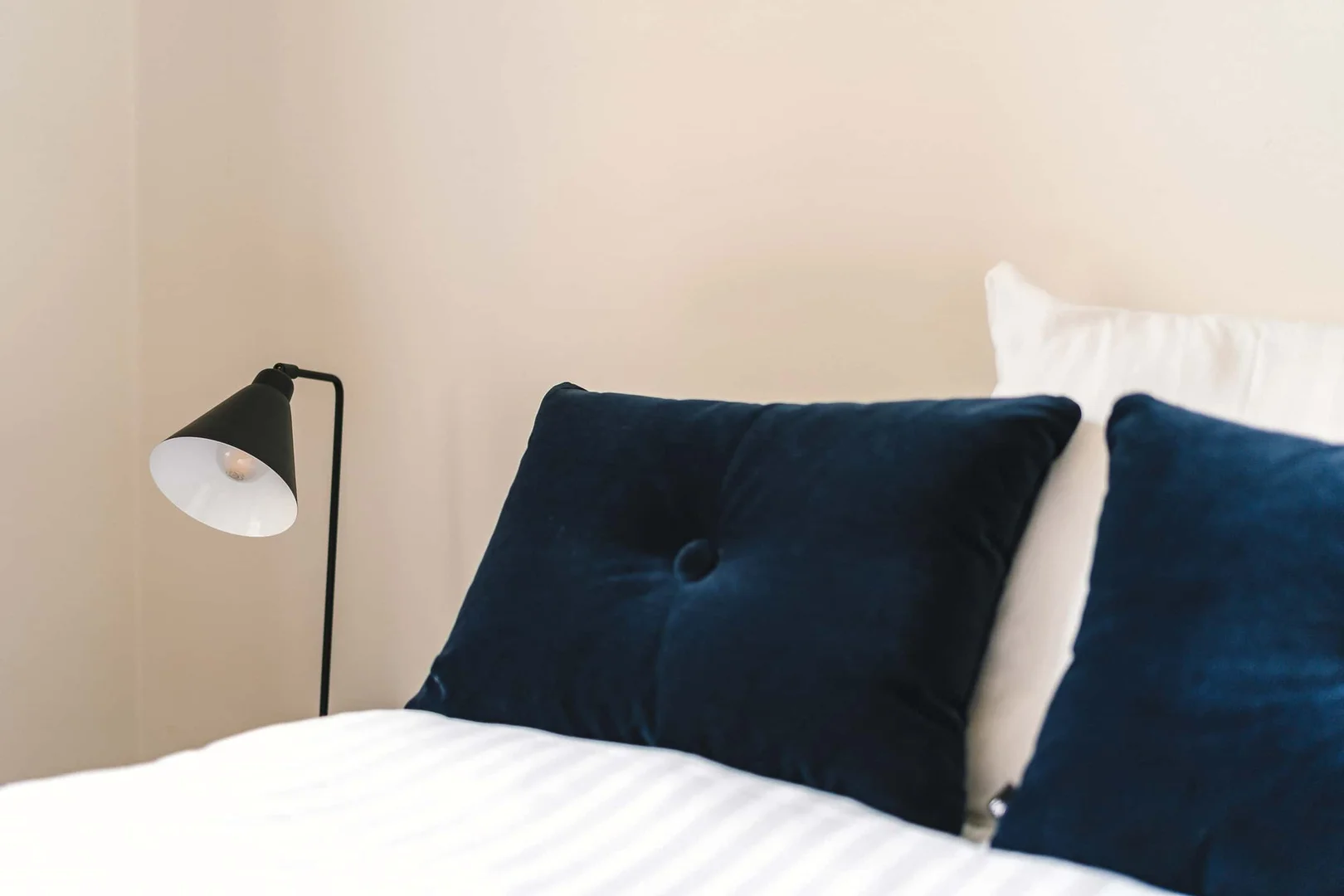Student-friendly room in with modern amenities