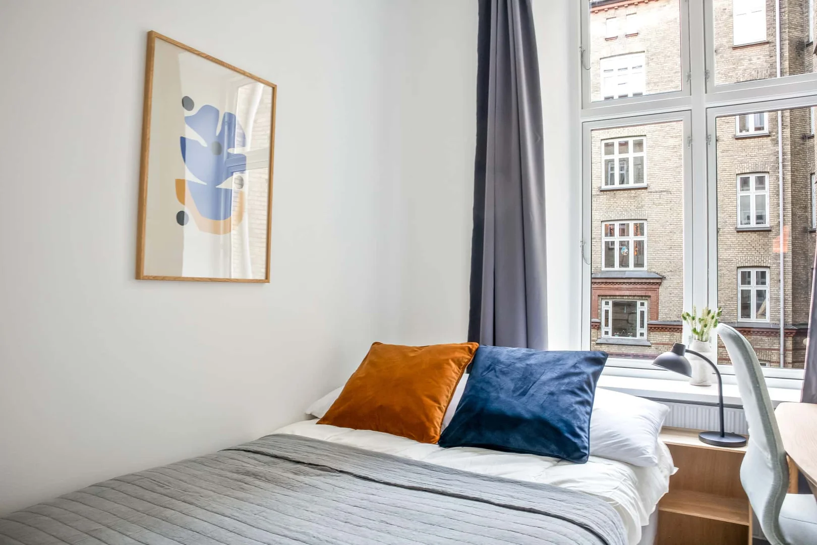 Affordable room for students with ample lighting in 
