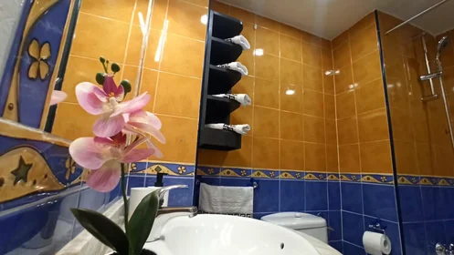 Logement entier à Calle Veracruz, , image 9 de 10