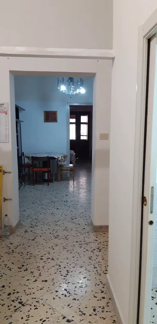 Stanza economica per studenti con ampia illuminazione in 