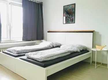 Accommodation in the centre of {area}